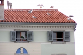 končana fasada Veliki trg 1